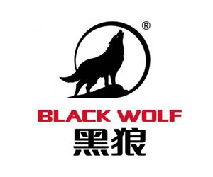 Black Wolf Welding Products Supplier Delhi